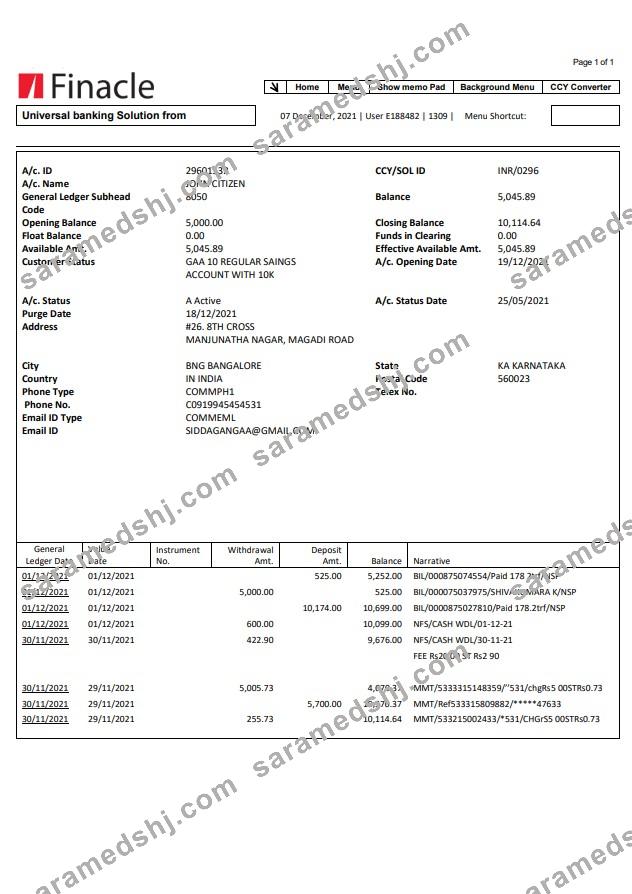 India Finacle bank statement easy to fill template in Word and PDF format